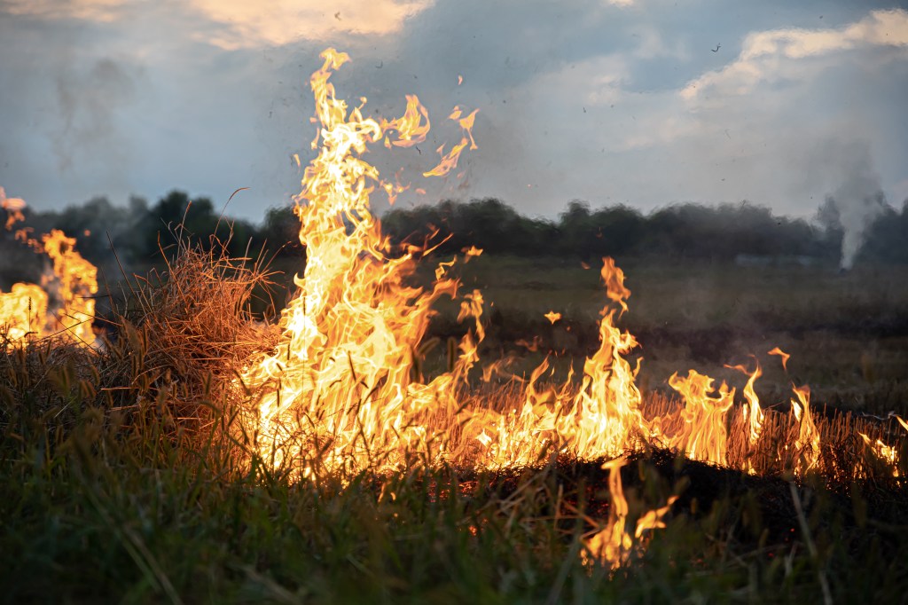 La Junta declara el peligro medio de incendios forestales en Castilla y León hasta el 11 de&nbsp;junio